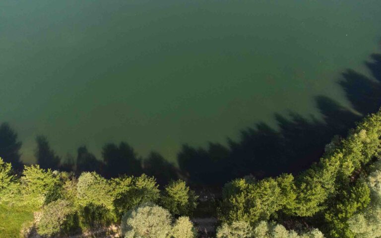 vue drone poste 12 étang du tronc du chêne cap nature