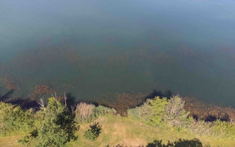 vue drone poste 16 étang tronc du chêne cap nature