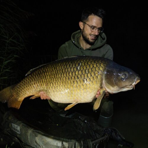 pêcher la carpe étang tronc du chêne cap nature