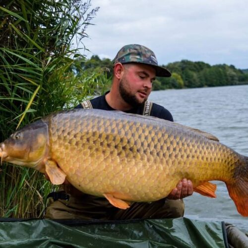 french bigcarp lake in france