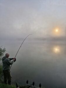 adhésion cap nature tronc du chêne