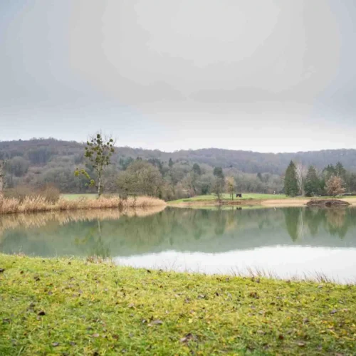 étang de la lochère bouc pêche carpe