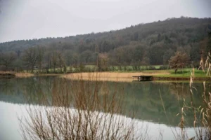 étang de la lochère boucq