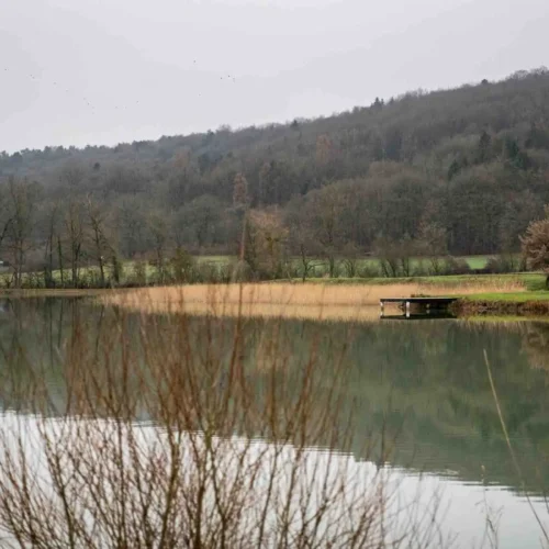étang de la lochère boucq