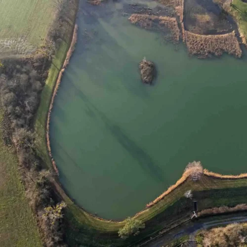 étang la lochère pêche carpe boucq grand est
