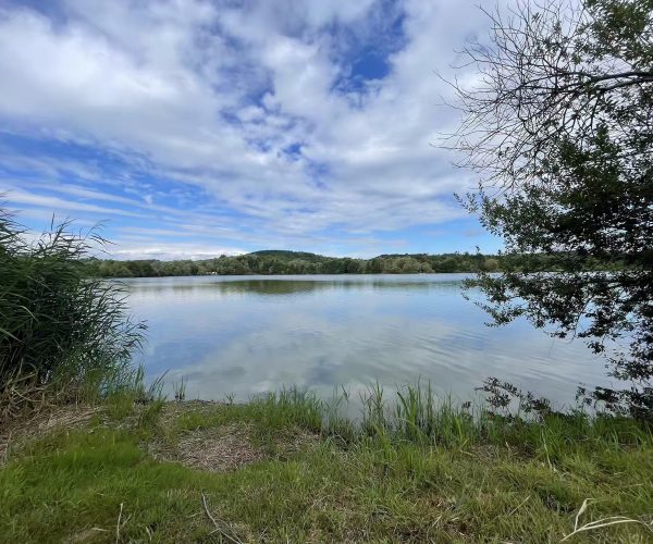 poste 7 étang tronc du chene, plein eau vue gauche