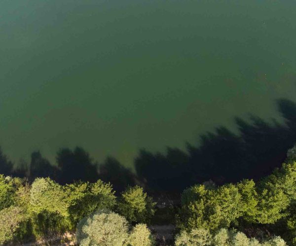 vue drone poste 12 étang du tronc du chêne cap nature